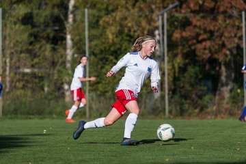 Bild 149 - B-Juniorinnen Hamburger SV - FC Neubrandenburg 04 : Ergebnis: 3:1